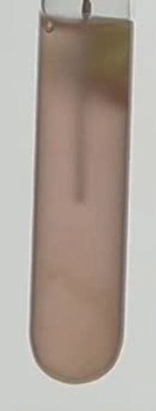 Thumbnail of 1k_025_2