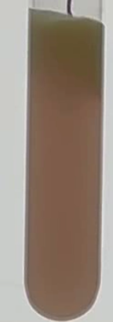 Thumbnail of 1k_050_1