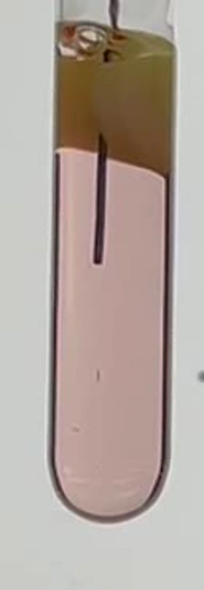 Thumbnail of 5k_005_1