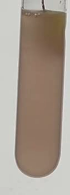 Thumbnail of 5k_025_2