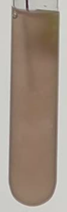 Thumbnail of 5k_025_3