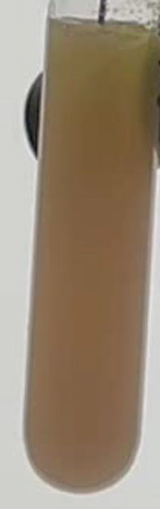 Thumbnail of 5k_050_2